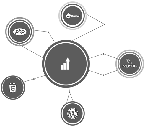 A circular graph web CMS indicating growth . And are connected with five different verticals Drupal , MySQL, WordPress , HTML , php .