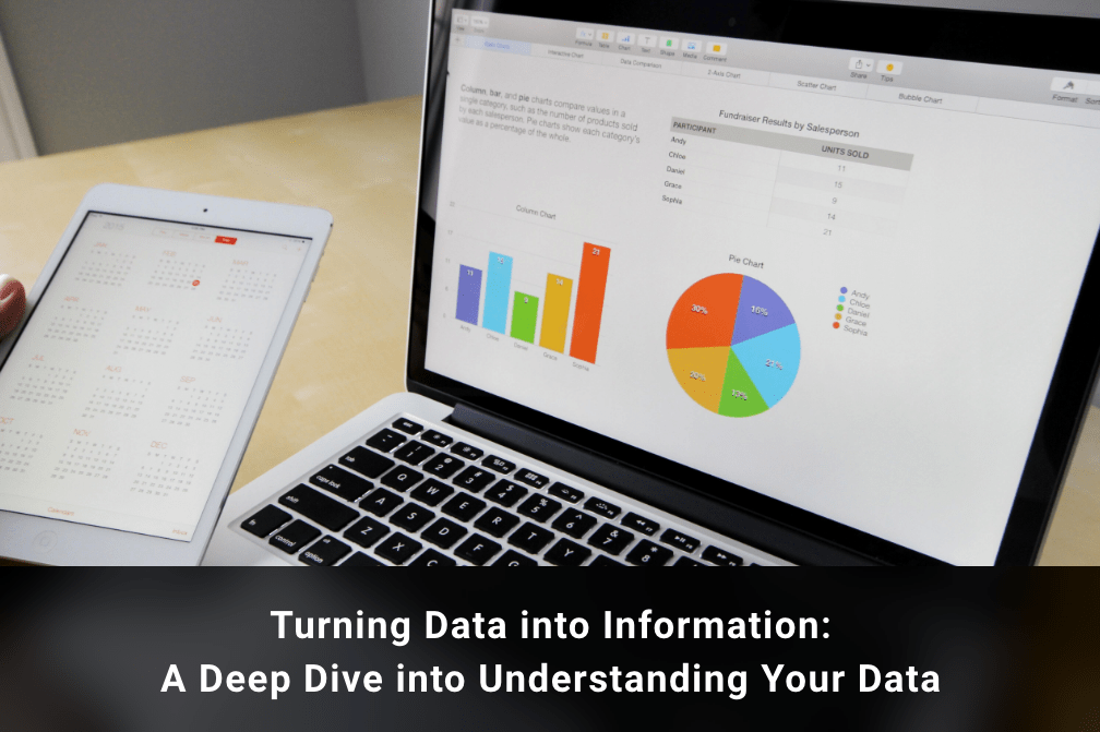 Turning Data into Information: A Deep Dive into Understanding Your Data