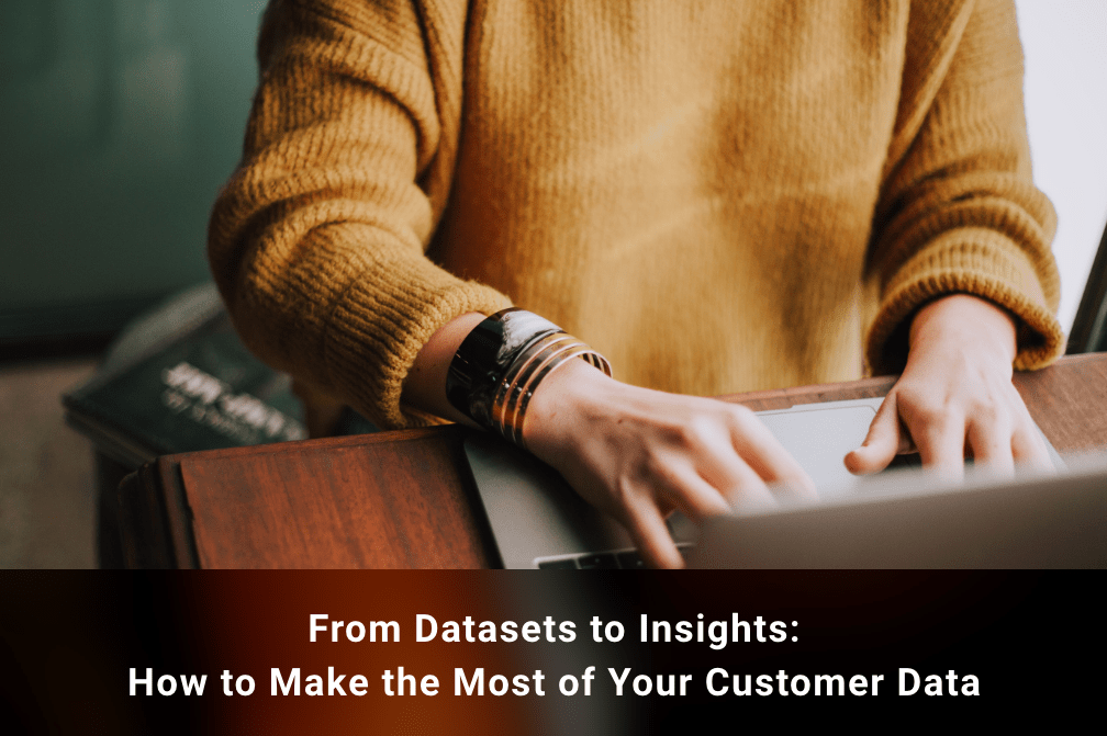 From Datasets to Insights: How to Make the Most of Your Customer Data